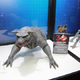 Image for article titled Updated: The Best Toys Revealed At Comic-Con
